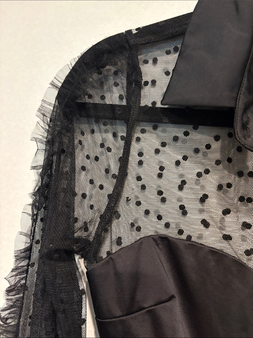 Thistle and Spire - Meserole Polka dot mesh long sleeve bodysuit. Small. Black - Picture 4 of 14